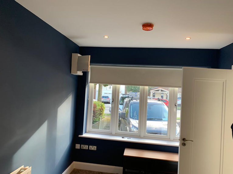 Painting Project 7